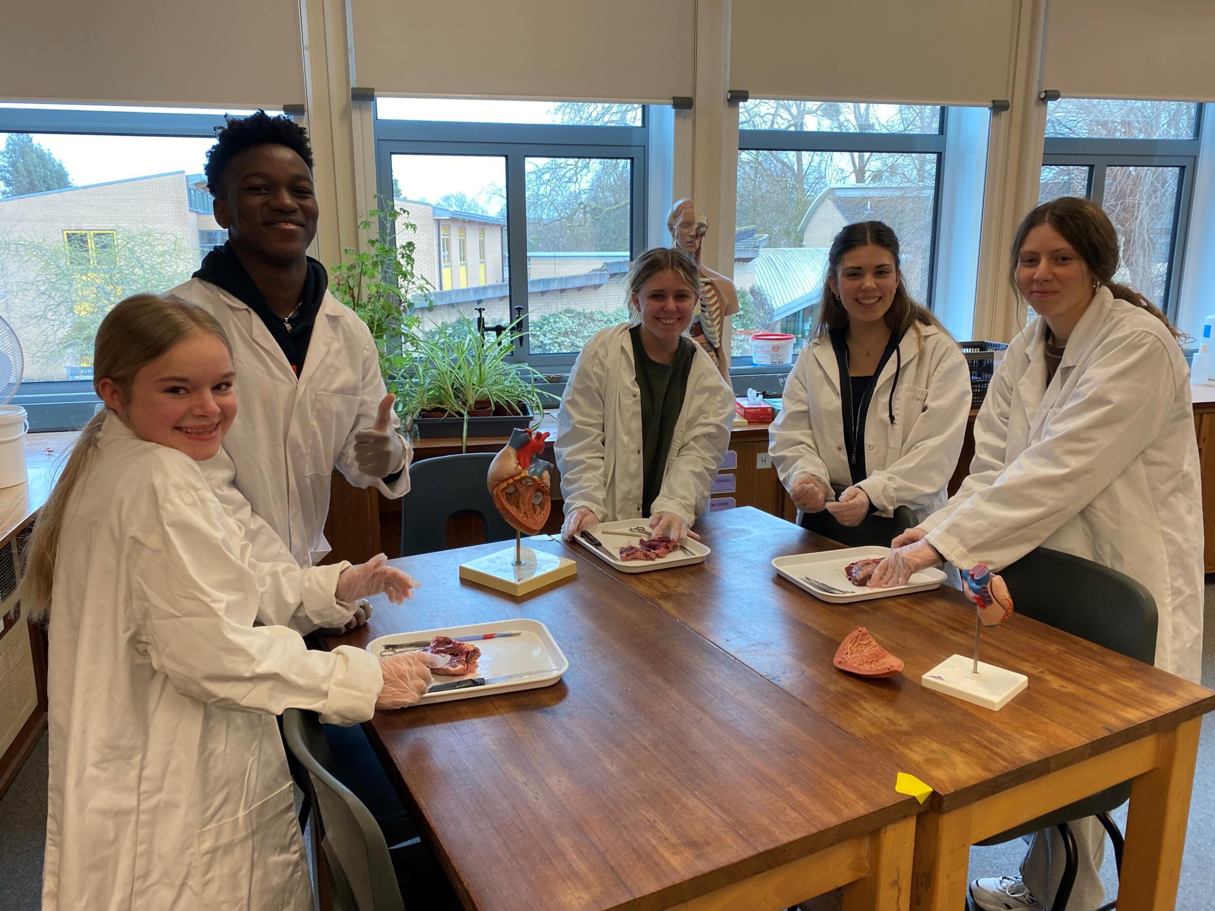 A group of 5 Biology A Level students in the lab, working on a dissection exercise.