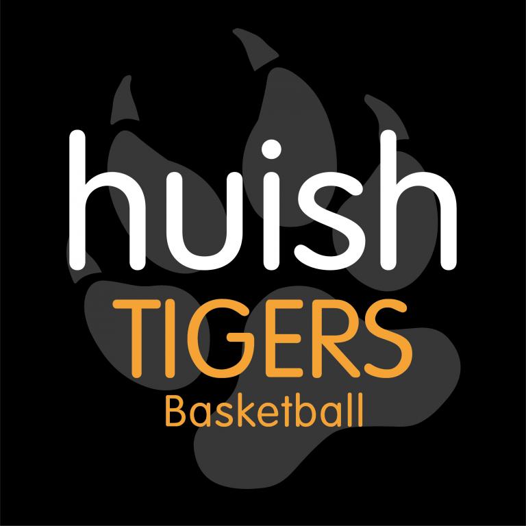 Tigers basketball logo