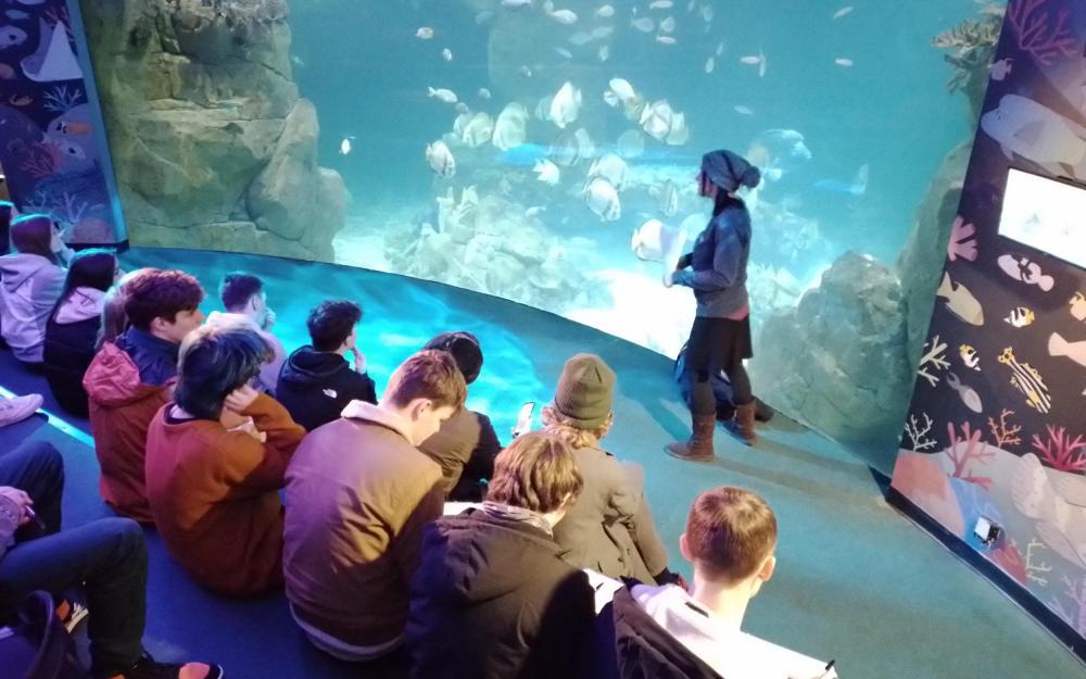 Huish students explore Marine Conservation in Plymouth