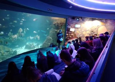 Plymouth Aquarium (21)