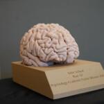 Psychology award