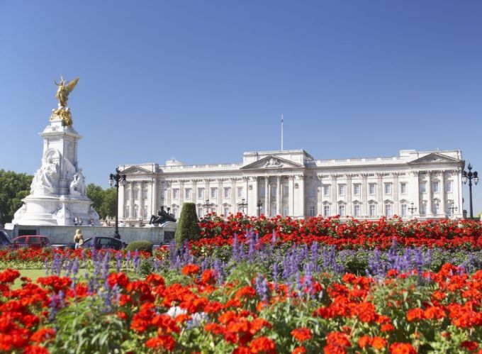 Buckingham Palace with blue skies and flowers in the foreground.
